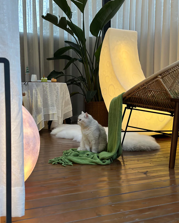 WOMO Crescent Moon Floor Lamp-WM7021 - Image 33