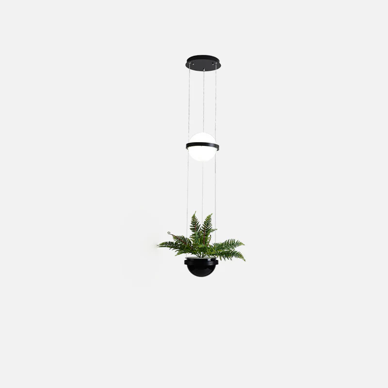 WOMO Plant Globe Pendant Light-WM2155 - Image 47