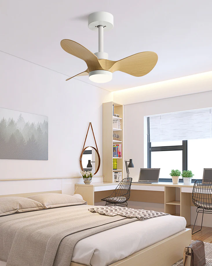 WOMO 24 inch Small Ceiling Fan Lamp- WM5172 - Image 4