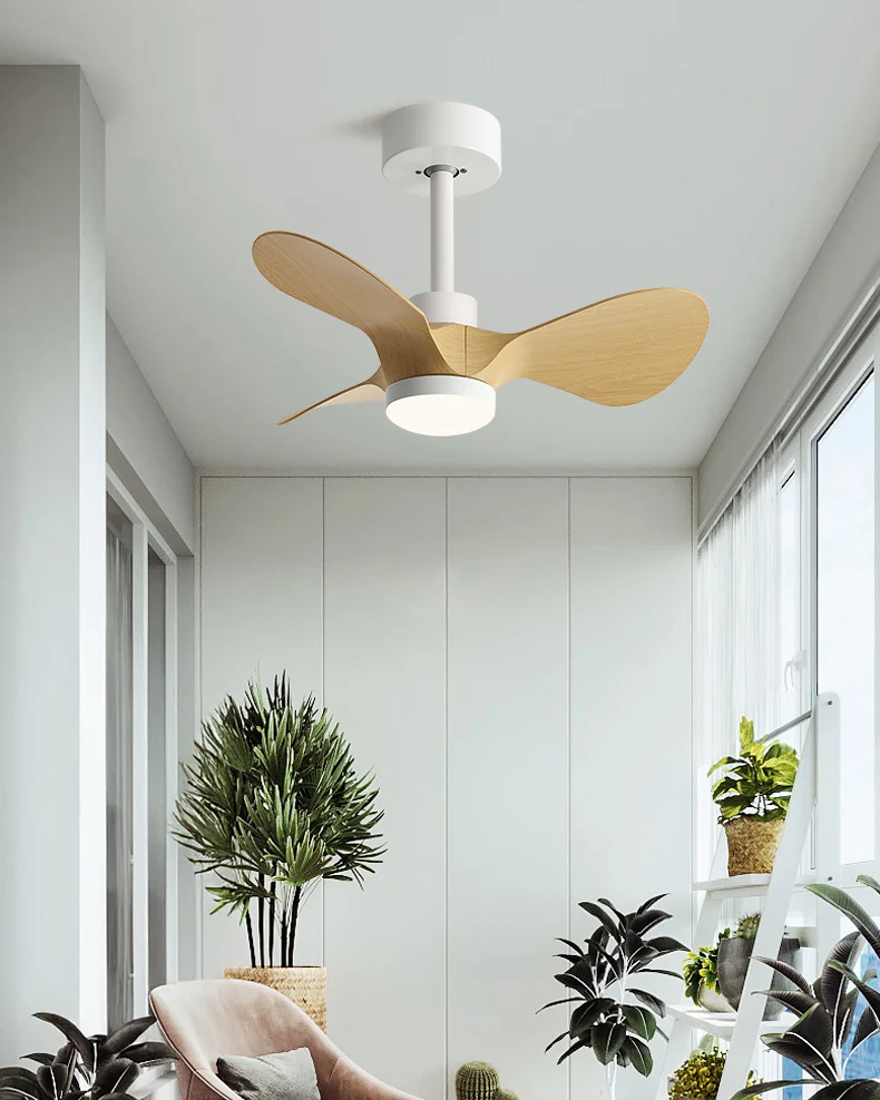 WOMO 24 inch Small Ceiling Fan Lamp- WM5172 - Image 5