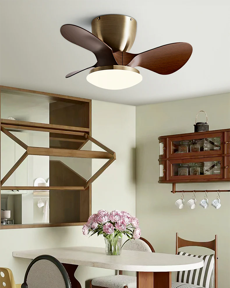 WOMO 24 Inch Small Low Profile Ceiling Fan Lamp - WM5159 - Image 2