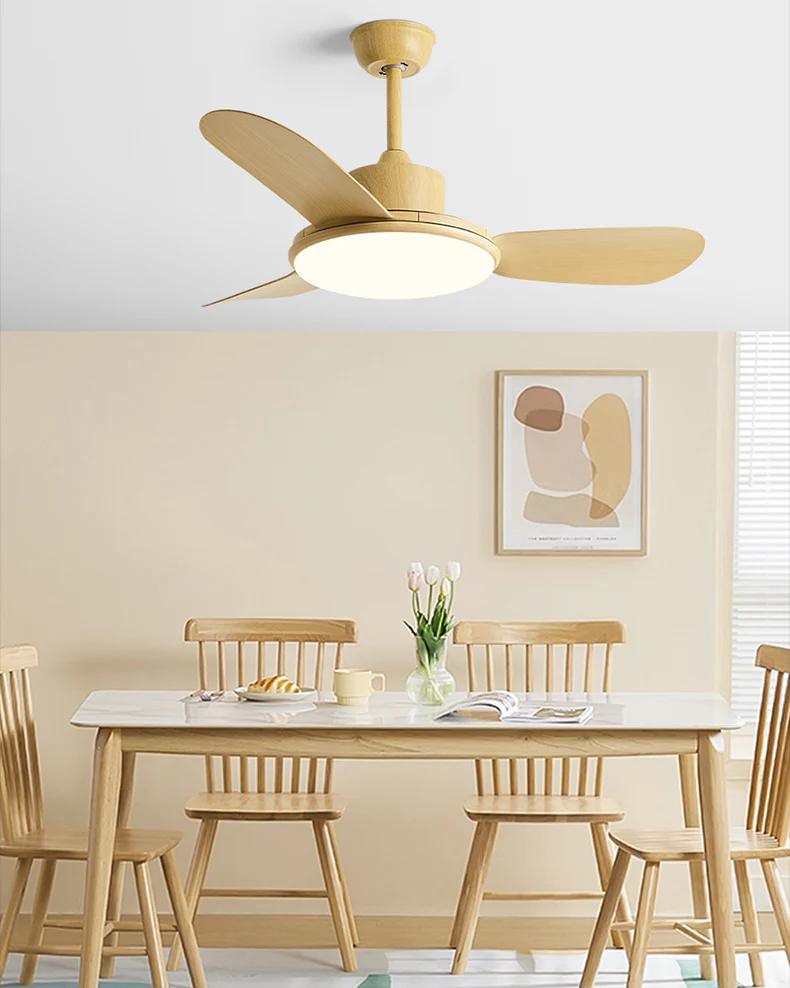 WOMO 3 Blade Modern Ceiling Fan Lamp-WM5227 - Image 3
