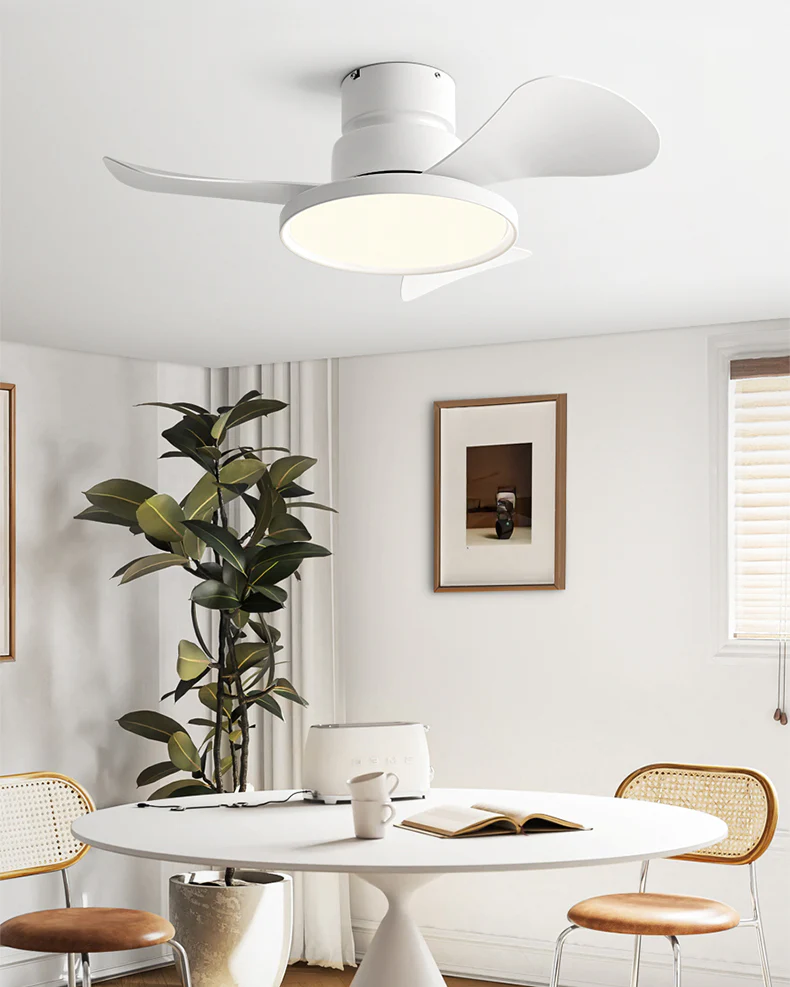 WOMO 30 Inch Low Profile Ceiling Fan Lamp - WM5196 - Image 11