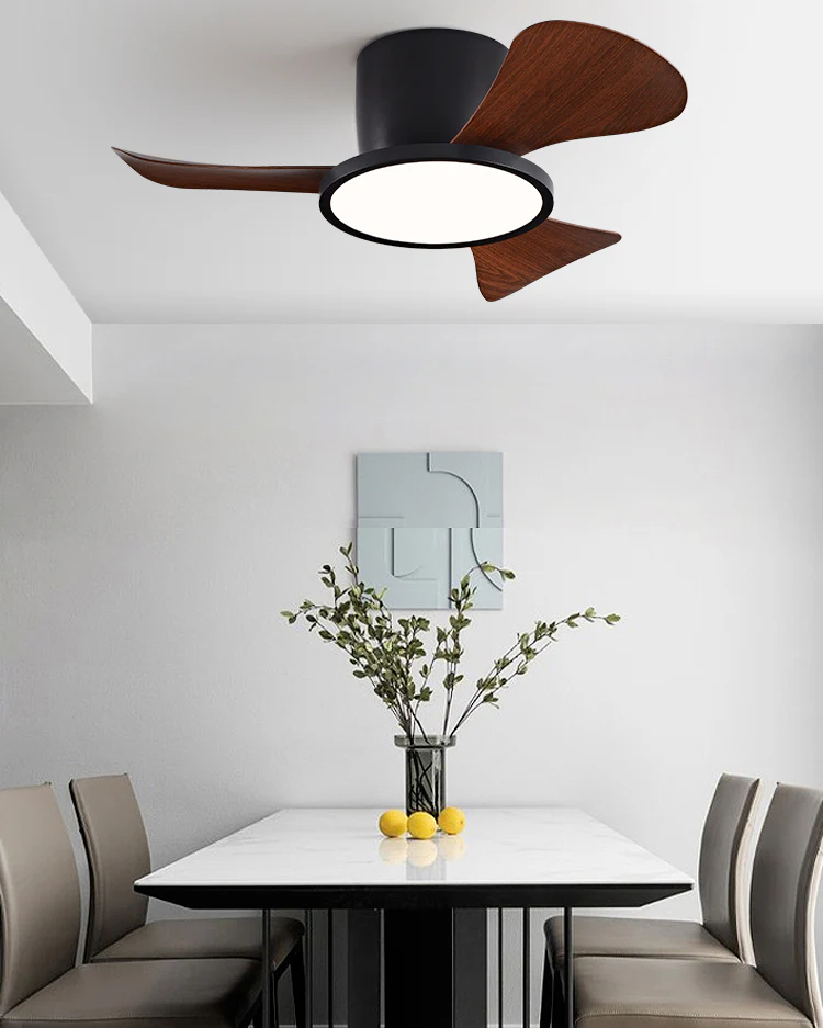 WOMO 30 Inch Low Profile Ceiling Fan Lamp-WM5205 - Image 13
