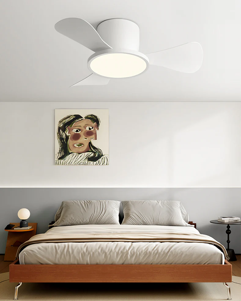 WOMO 30 Inch Low Profile Ceiling Fan Lamp-WM5205 - Image 20