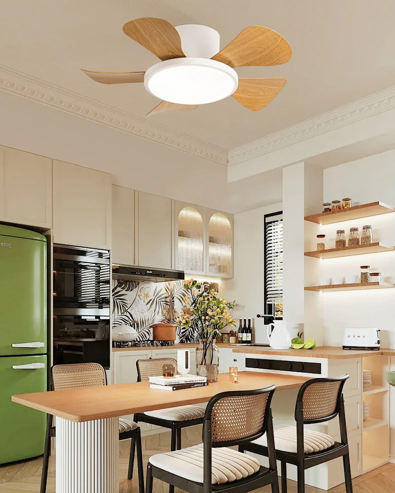 WOMO 30 Inch Low Profile Ceiling Fan Lamp-WM5205 - Image 9
