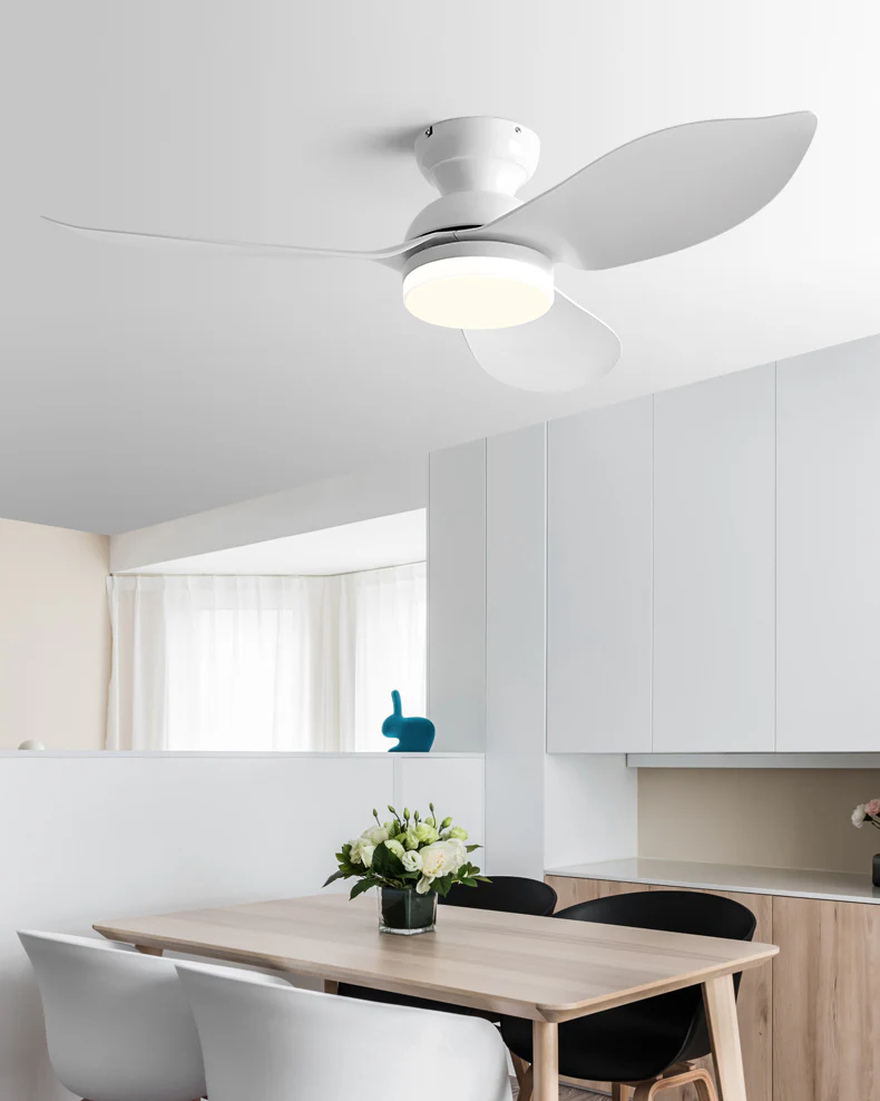 WOMO 38 Inch Low Profile Ceiling Fan Lamp-WM5219 - Image 14