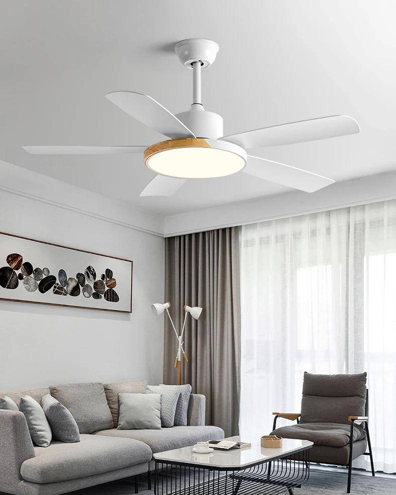 WOMO 5 Blade Modern Ceiling Fan Lamp - WM5250 - Image 5