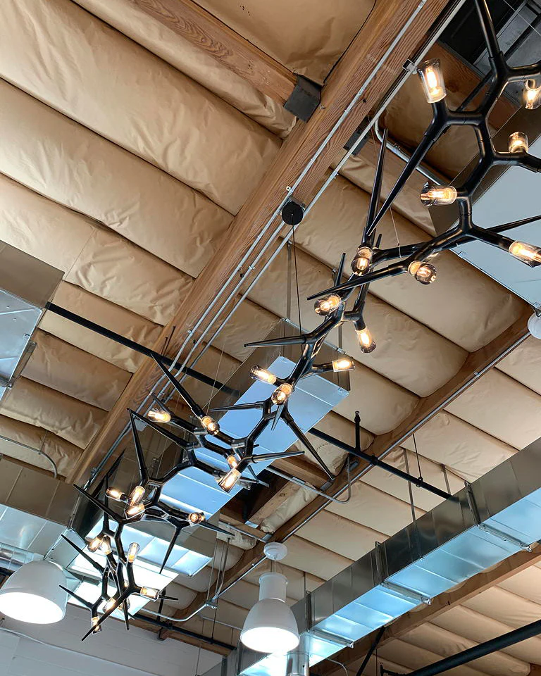 WOMO Black Branch Chandelier-WM2672 - Image 8