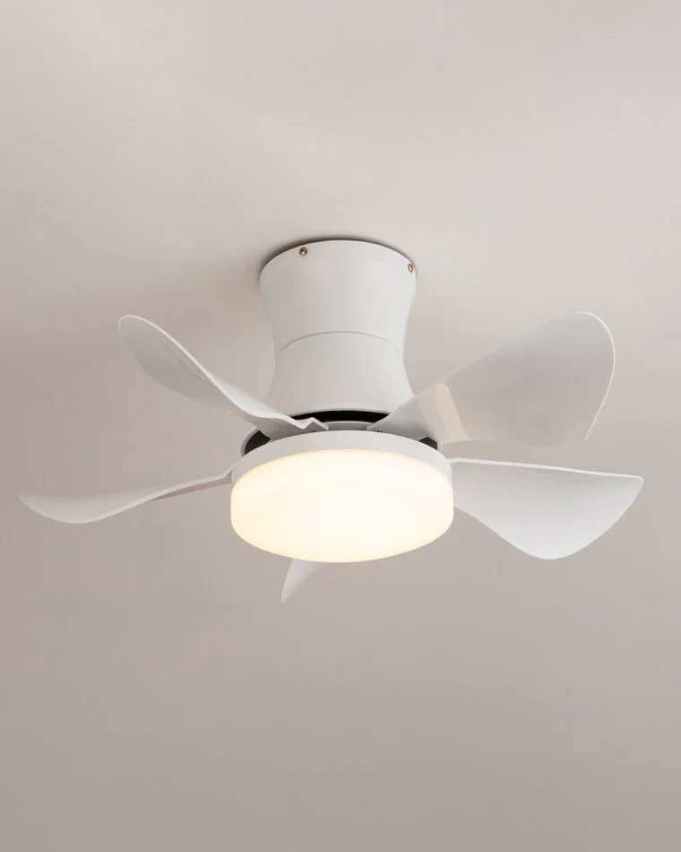 WOMO Small Ceiling Fan Lamp-WM5088 - Image 5