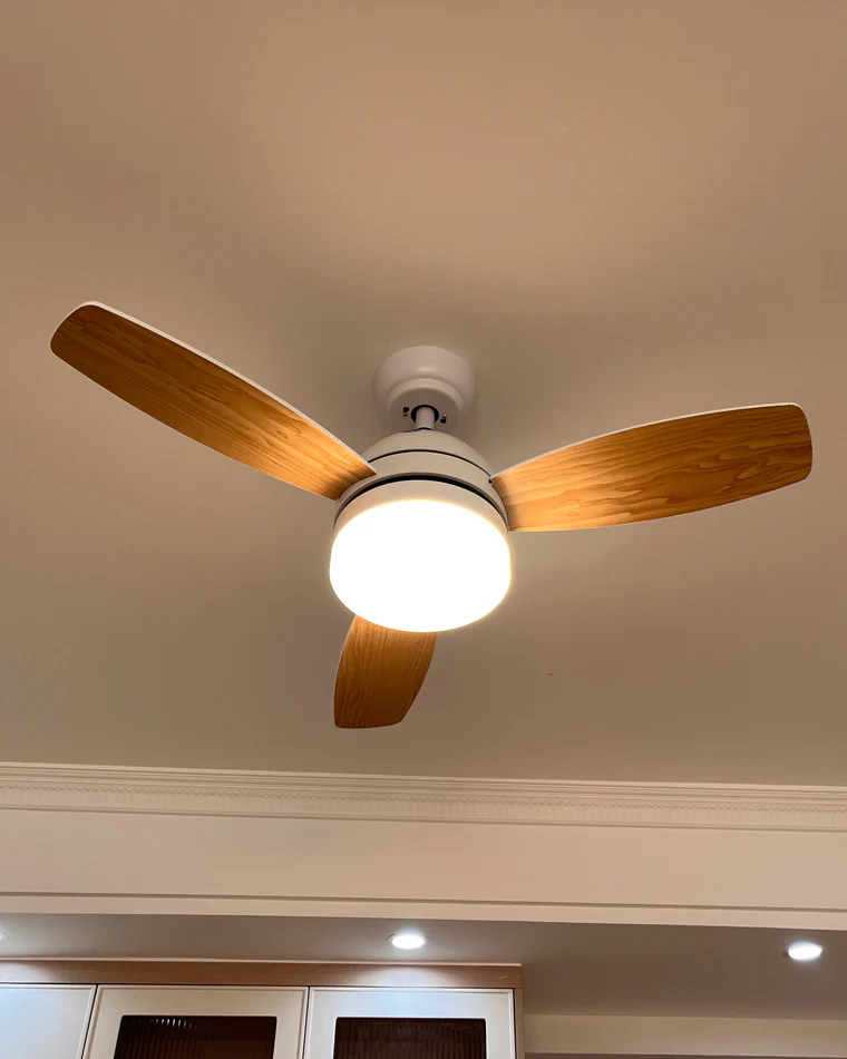 WOMO 3 Wood Blade Ceiling Fan Lamp-WM5001 - Image 11