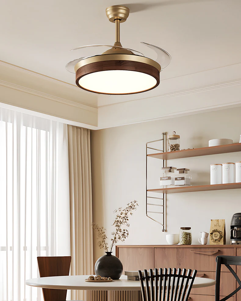WOMO Retractable Blade Ceiling Fan Lamp - WM5265 - Image 5