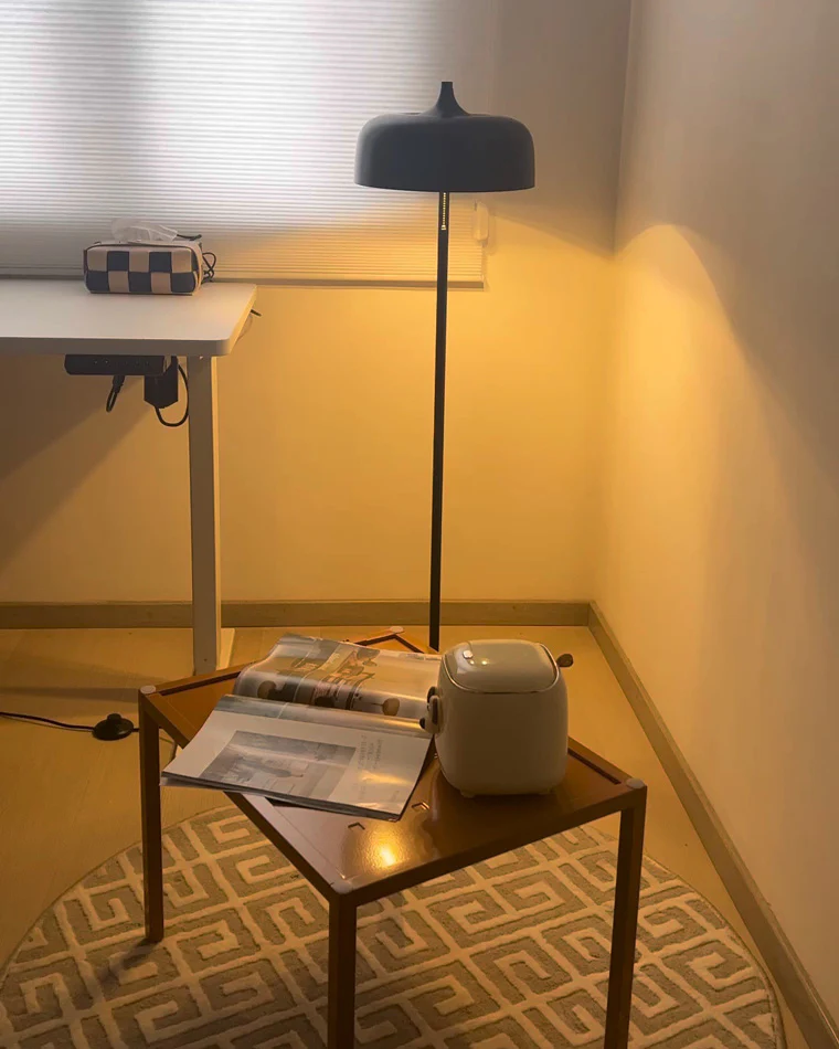 WOMO Acorn Floor Lamp with Pull Chain-WM7034 - Image 88