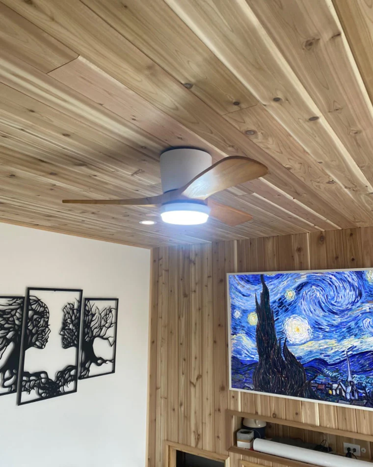 WOMO Large Low Profile Ceiling Fan Lamp-WM5051 - Image 8