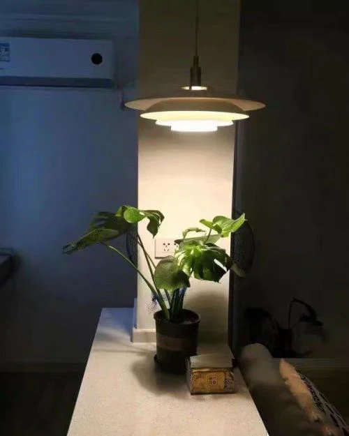 WOMO Nordic Designer Pendant Light-WM2683 - Image 14