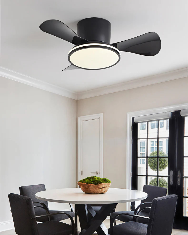 WOMO Small Low Profile Ceiling Fan Lamp - WM5166 - Image 14