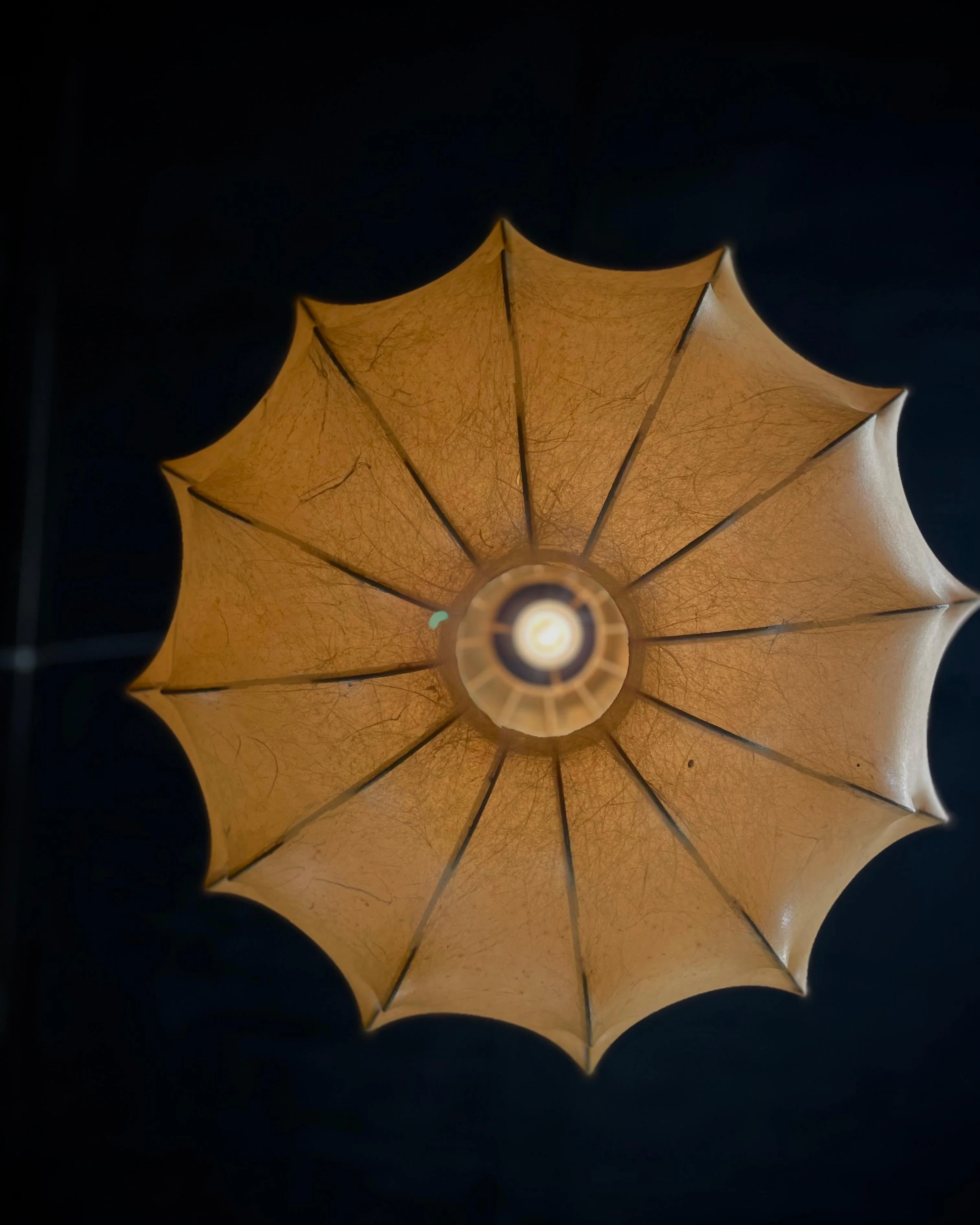 WOMO Starfruit Silk Pendant Light-WM2976 - Image 12